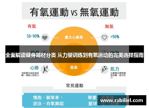 全面解读健身器材分类 从力量训练到有氧运动的完美选择指南