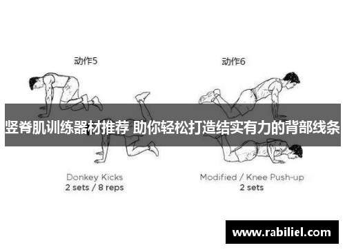竖脊肌训练器材推荐 助你轻松打造结实有力的背部线条