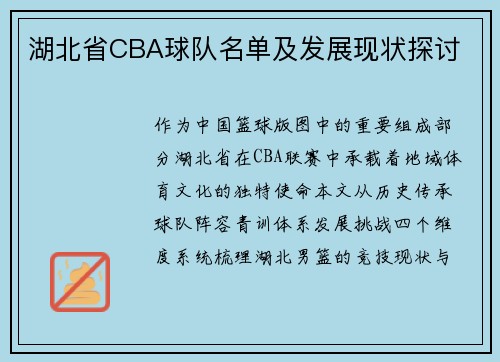 湖北省CBA球队名单及发展现状探讨